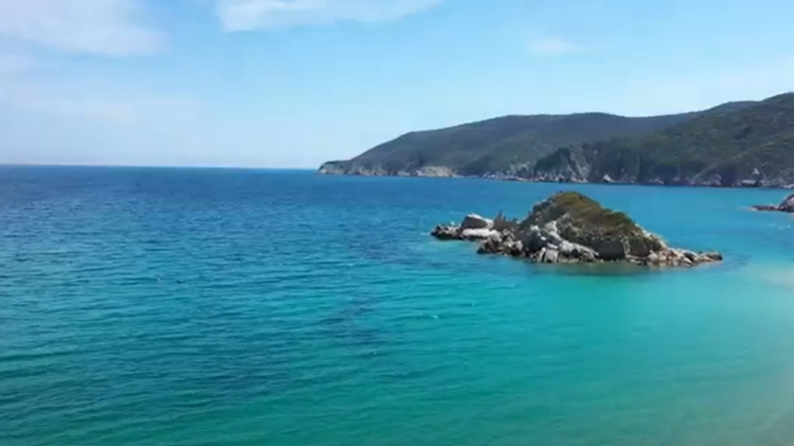 告別塑料污染!探索銳志機械紙袋解決方案