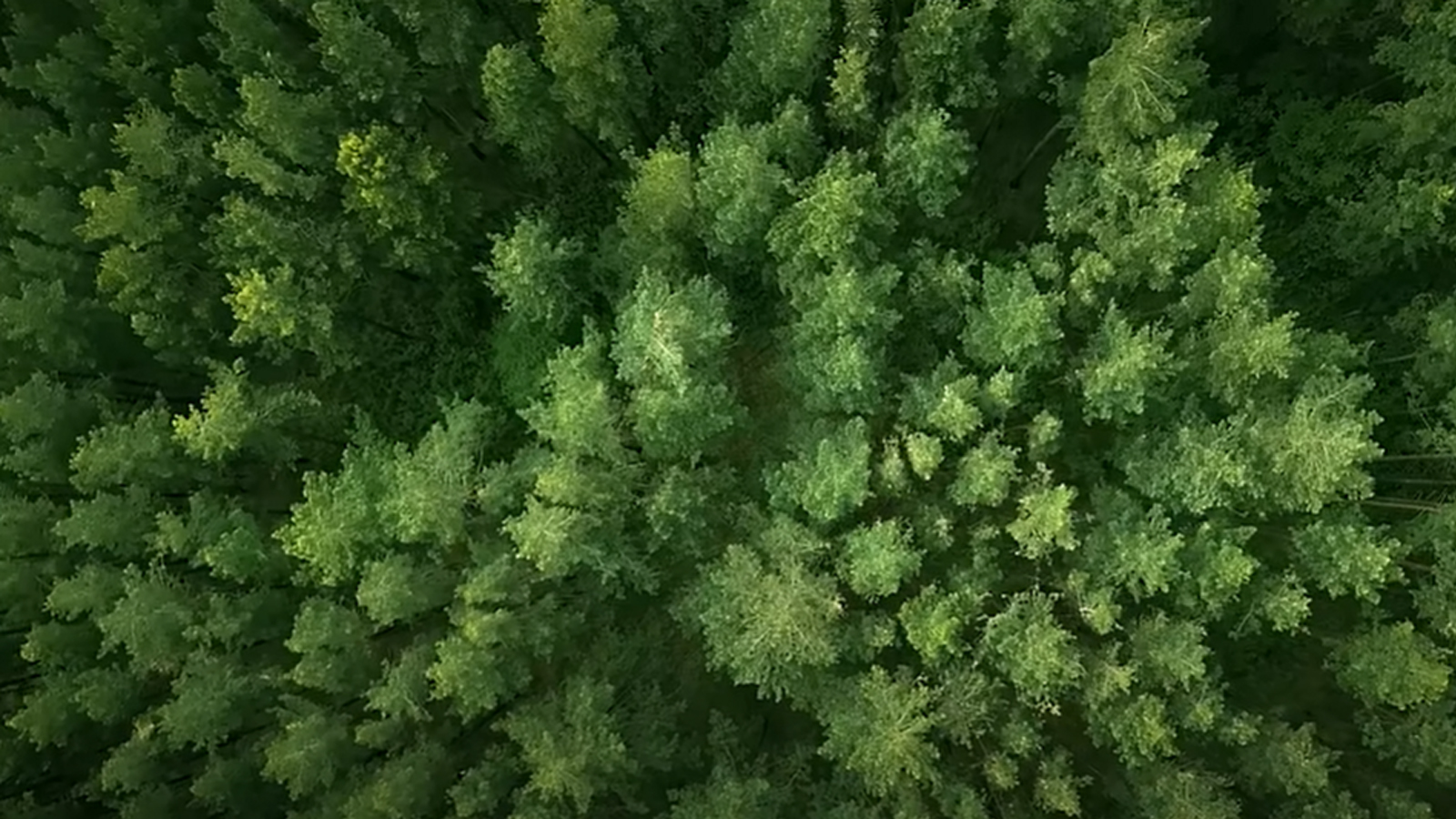 銳志機械全新愿景宣傳片《通過創(chuàng)新解決方案,賦能更綠色的未來》