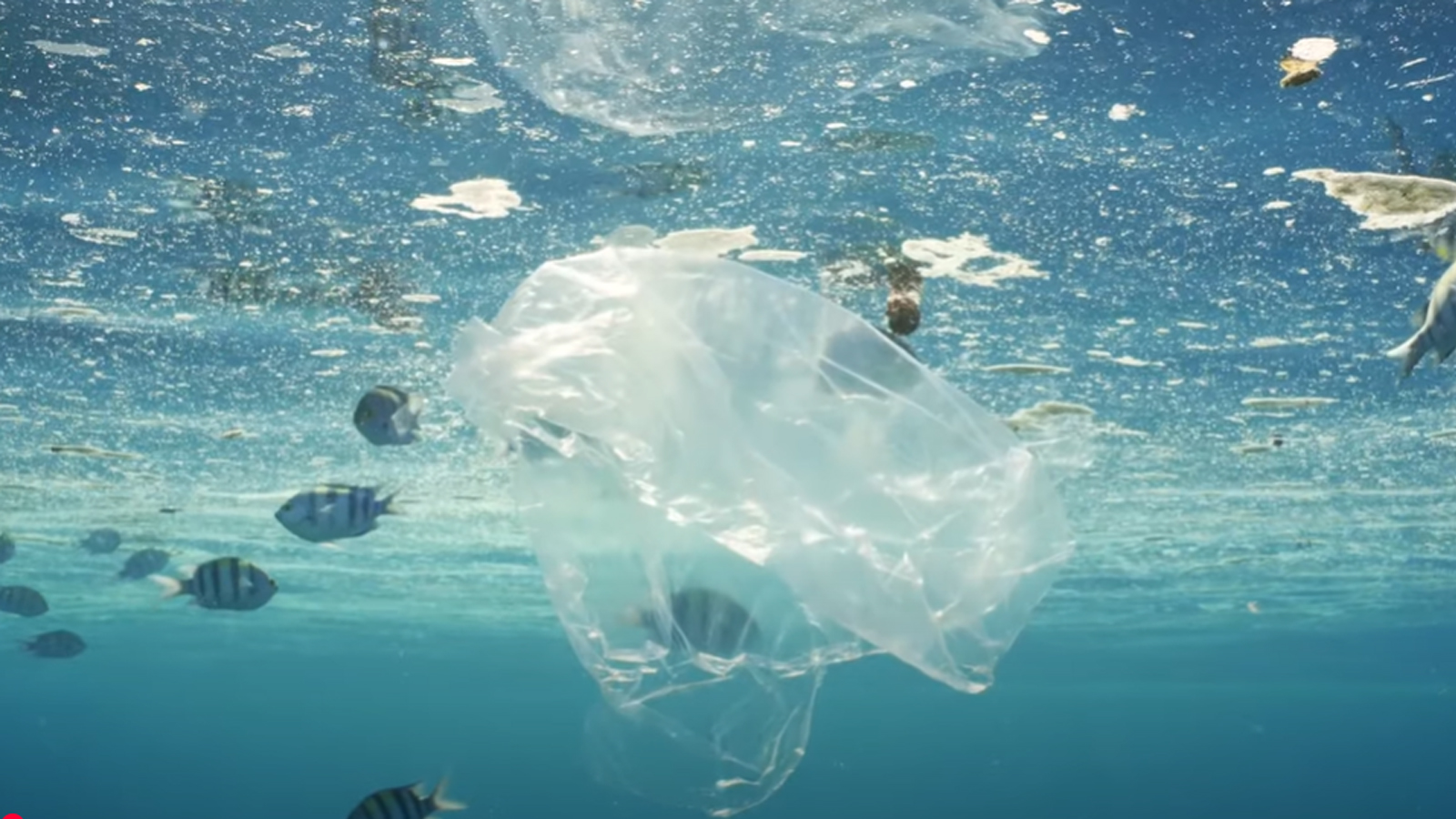 銳志機(jī)械《攜手邁向更綠色的未來》