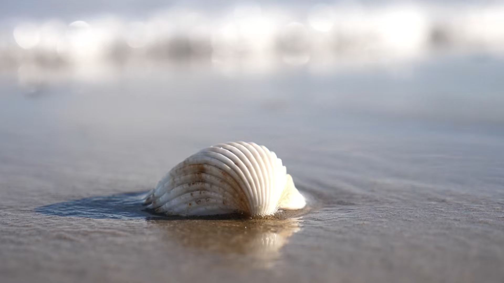 銳志機(jī)械｜為工業(yè)而生的環(huán)保解決方案